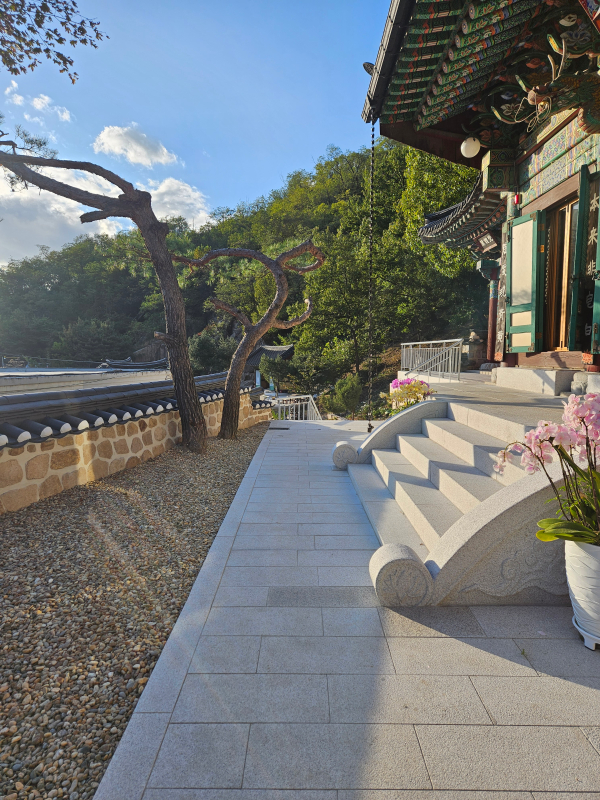 31f938e6852a3fc41a067386988f04bd_1761629299_7676.jpg 31f938e6852a3fc41a067386988f04bd_1761629299_7676.jpg